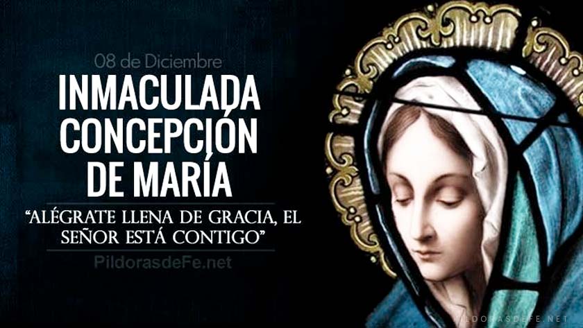 inmaculada concepcion de la virgen maria dogma celebracion solemnidad historia