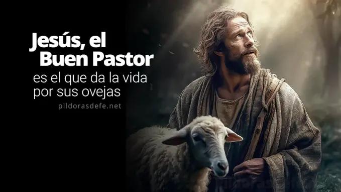 jesus el buen pastor es el que da la vida por sus ovejas