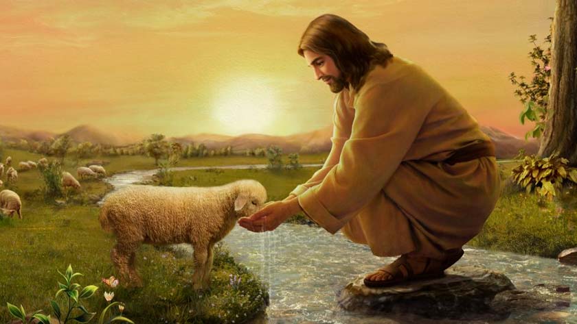 jesus el buen pastor que da la vida por sus ovejas