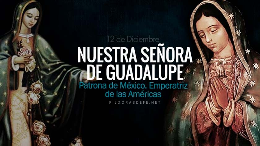 Nuestra Señora de Guadalupe. Emperatriz de las Américas