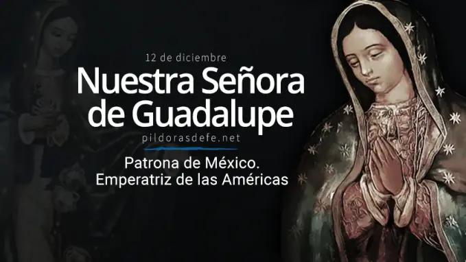 nuestra senora de guadalupe virgen patrona de mexico emperatriz de las americas