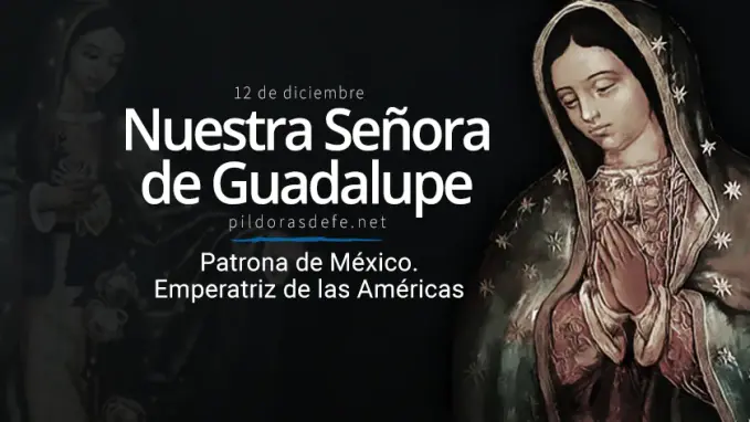 La Virgen de Nuestra Señora de Guadalupe