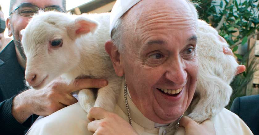 pope francis papa francisco cargando una oveja en su espalda domingo bues pastor