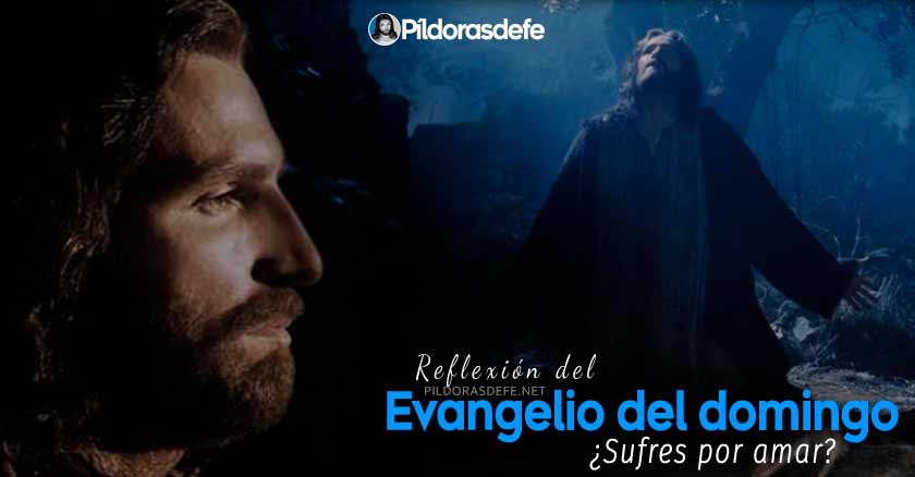 reflexion evangelio de domingo agosto