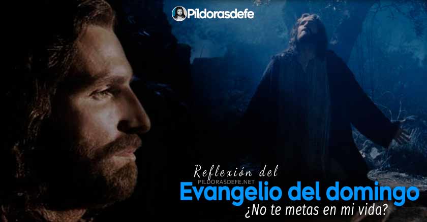 reflexion evangelio de domingo  septiembre 