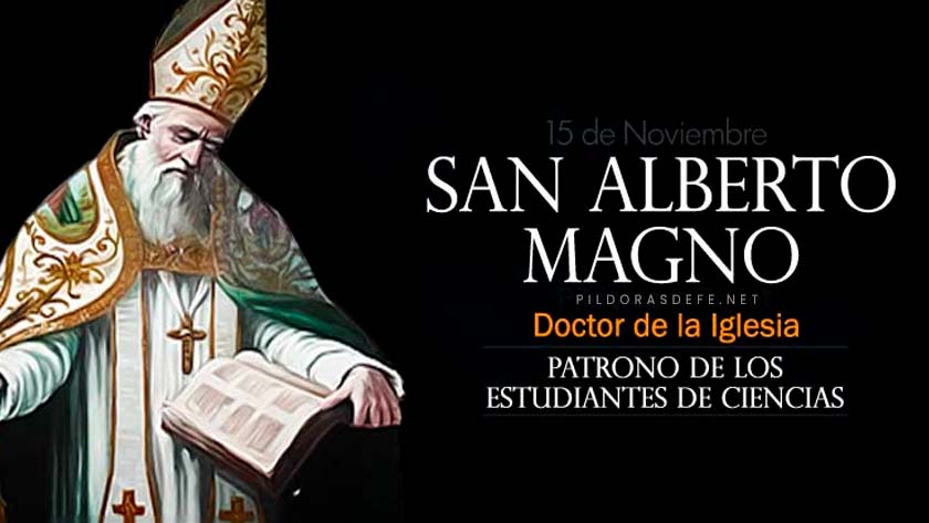 san alberto magno doctor de la iglesia patrono de los estudiantes de ciencia biografia vida obra