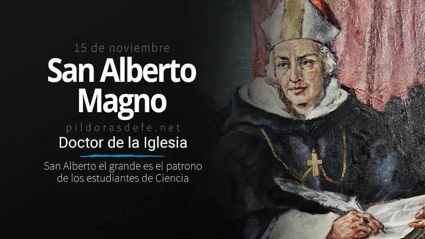san alberto magno doctor de la iglesia patrono de los estudiantes de ciencias naturales