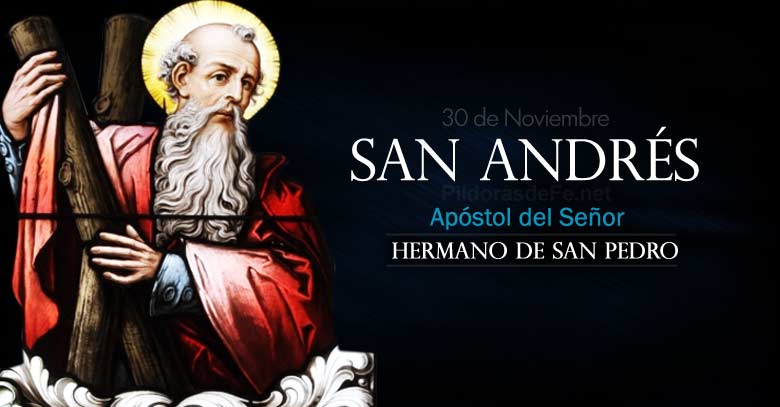 san andres apostol del senor hermano de san pedro