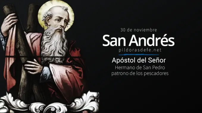 san andres apostol del senor martir hermano de san pedro