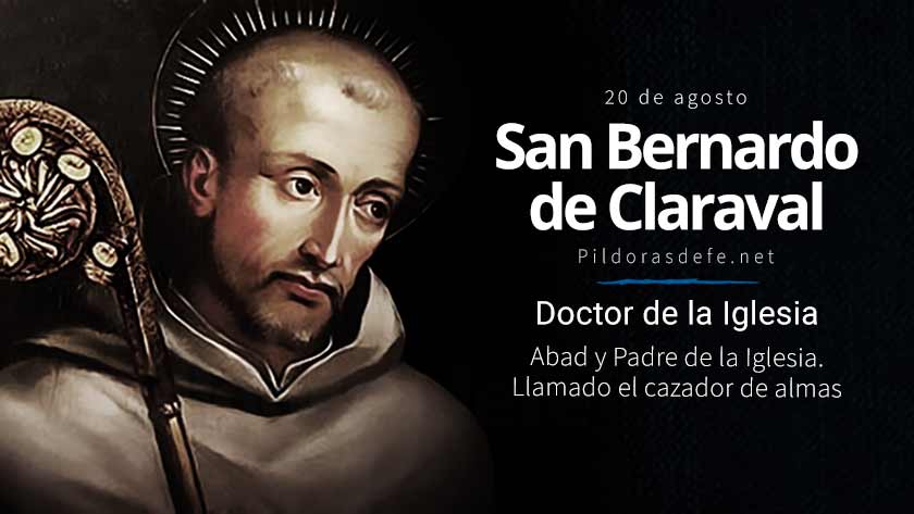 san bernardo de claraval doctor de la iglesia cazador de almas predicador biografia