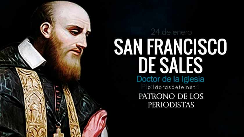 san francisco de sales doctor de la iglesia patrono de los periodistas biografia
