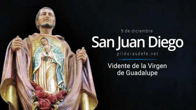 san juan diego vidente de la virgen de guadalupe