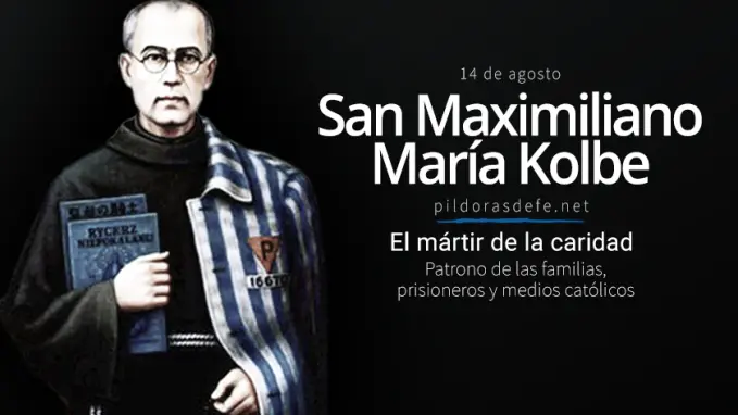 san maximiliano maria kolbe el martir de la caridad patrono de las familias