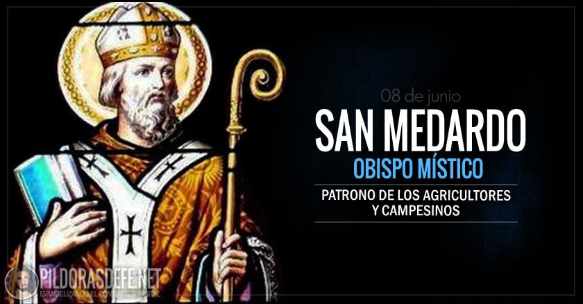 san medardo obispo mistico patrono de los agricultores intercesor contra la esterilidad