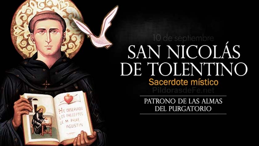 san nicolas de tolentino mistico patrono almas del purgatorio biografia