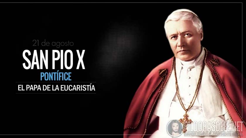 san pio x pontifice el papa de la eucaristia biografia vida