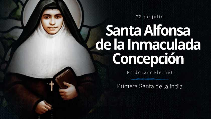 santa afonsa de la inmaculada concepcion santa de la india biografia