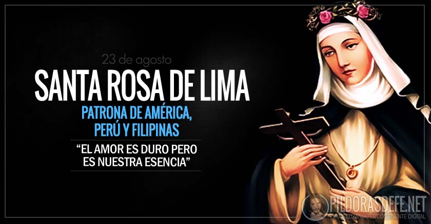 santa rosa de lima patrona de america pery y filipinas la mas bella rosa