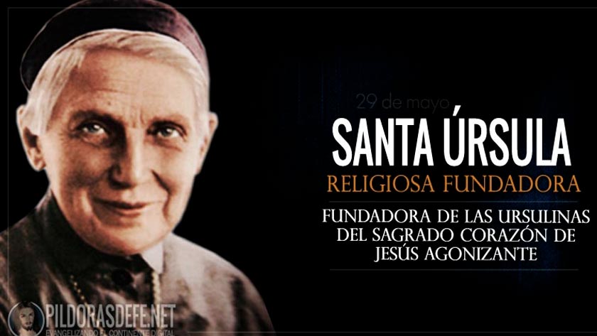 santa ursula ledochowska religiosa fundadora de las ursulinas biografia