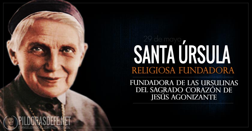 santa ursula religiosa fundadora de las ursulinas del sagrado corazon de jesus agonizante