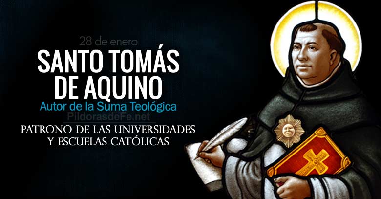 santo tomas de aquino autor de la suma teologica patrono de las universidades