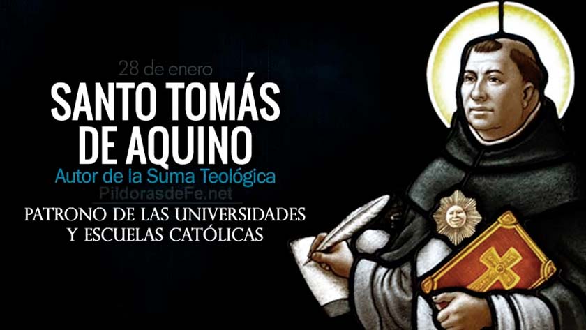 santo tomas de aquino doctor de la iglesia filosofo teologo suma teologica biografia obras