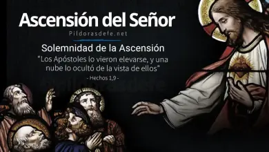 Solemnidad de la Ascensión del Señor: Jesús sube al Cielo