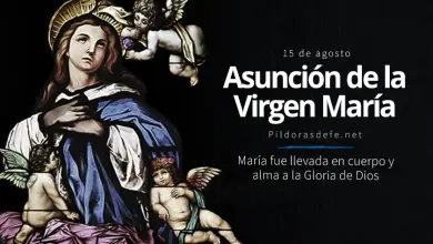 La Asunción de la Santísima Virgen María: Solemnidad Asunción de la Virgen María: Nuestra Señora es llevada al Cielo