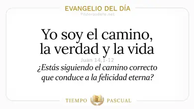 Evangelio del Día Domingo 3 de Mayo 2026: Juan 14,1-12 🙏
