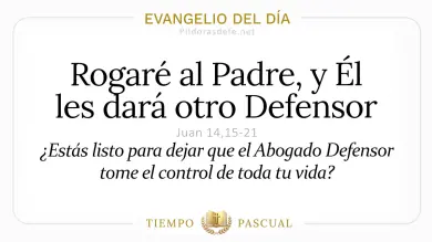 Evangelio del Día Domingo 10 de Mayo 2026: Juan 14,15-21 🙏