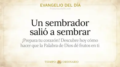 Evangelio de hoy Domingo 12 de Julio 2026: San Mateo 13,1-23