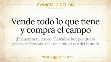 Evangelio de hoy Domingo 26 de Julio 2026: Mateo 13,44-52