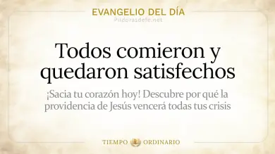 Evangelio de hoy Domingo 2 de Agosto 2026: Mateo 14,13-21