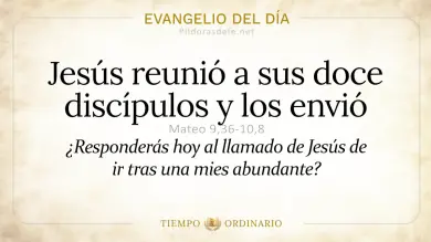 Evangelio de hoy Domingo 14 de junio 2026: San Mateo 9,36-10,8