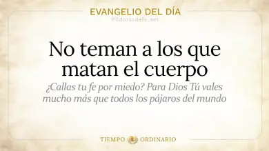 Evangelio de hoy del Domingo 21 de junio 2026: Mateo 10,26-33