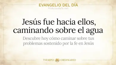 Evangelio de hoy Domingo 9 de Agosto 2026: Mateo 14,22-33