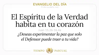 Evangelio del Día Lunes 11 de Mayo 2026: Juan 15,26-16,4a