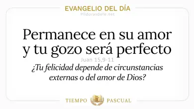 Evangelio del Día Jueves 7 de Mayo 2026: Juan 15,9-11 🙏