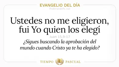 Evangelio de hoy Jueves 14 de Mayo 2026: Juan 15,9-17