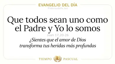 Evangelio de hoy Jueves 21 de Mayo 2026: Juan 17,20-26