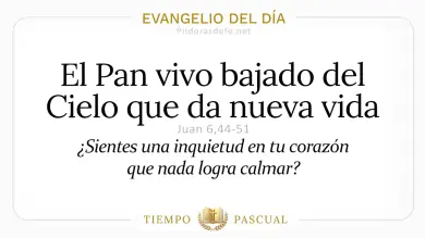 Evangelio del Día Jueves 23 de Abril 2026: Juan 6,44-51 🙏