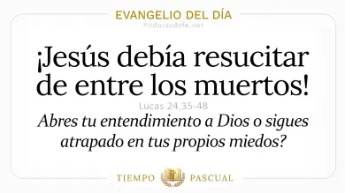 Evangelio del Día Jueves de Pascua 9 Abril 2026: Lucas 24,35-48 🙏