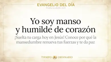 Evangelio de hoy Jueves 16 de Julio 2026: Mateo 11,28-30