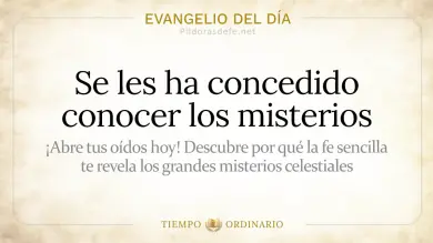 Evangelio de hoy Jueves 23 de Julio 2026: Mateo 13,10-17