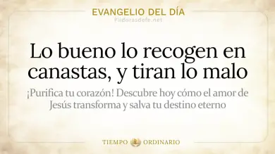 Evangelio de hoy Jueves 30 de Julio de 2026: Mateo 13,47-53