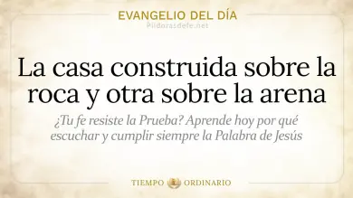 Evangelio de hoy Jueves 25 de junio 2026: San Mateo 7,21-29