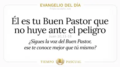 Evangelio del Día Lunes 27 de Abril 2026: Juan 10,11-18 🙏