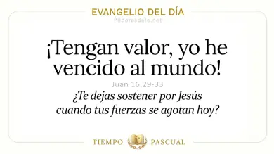 Evangelio de hoy Lunes 18 de Mayo 2026: Juan 16,29-33