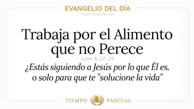 Evangelio del Día Lunes 20 de Abril 2026: Juan 6,22-29 🙏