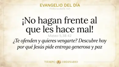 Evangelio de hoy Lunes 15 de junio 2026: San Mateo 5,38-42